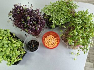 588373312 1411667467233888 7463701780628473141 n