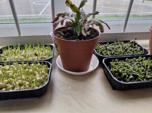 588750744 1411667507233884 9166290849191231054 n