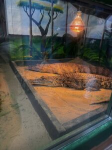 656023251 4307335786249292 4306104546352679004 n