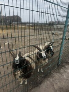 656095693 4307335699582634 1129083136336081353 n