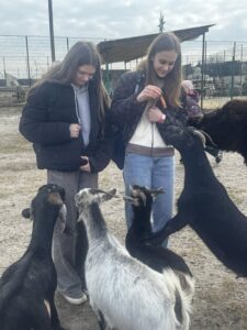 657271945 4307335676249303 5509172418892636825 n