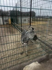 657866493 4307335742915963 4571643012878263960 n