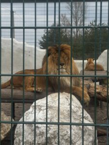 658014005 4307335812915956 3894670538082195090 n