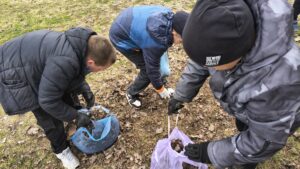 img 20260331 113151993 hdr