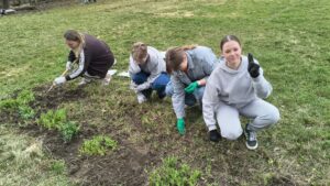 img 20260331 113332655 hdr