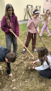 img 20260331 114524211 hdr